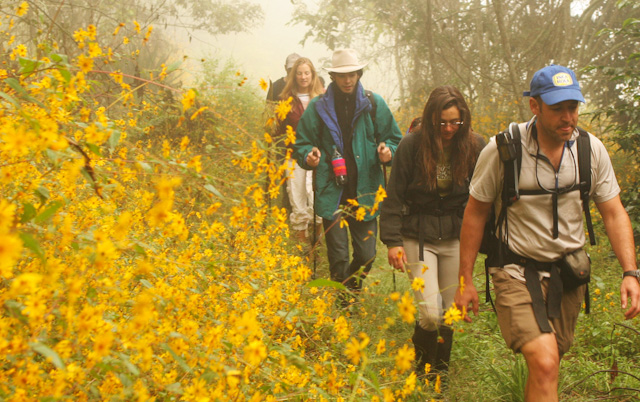 2 - Trekking through the cloud forest